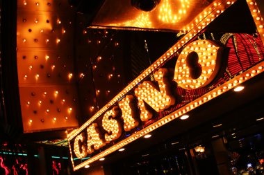 Lucky Neko live dealer interface on bonanza88 login showing real-time game feed and betting options